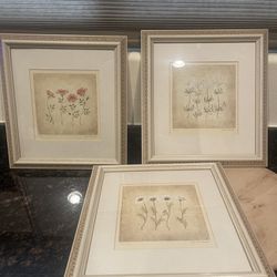 3 printing of signed Janice brooks photos with frames