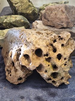 Texas Holy Rock 70lb