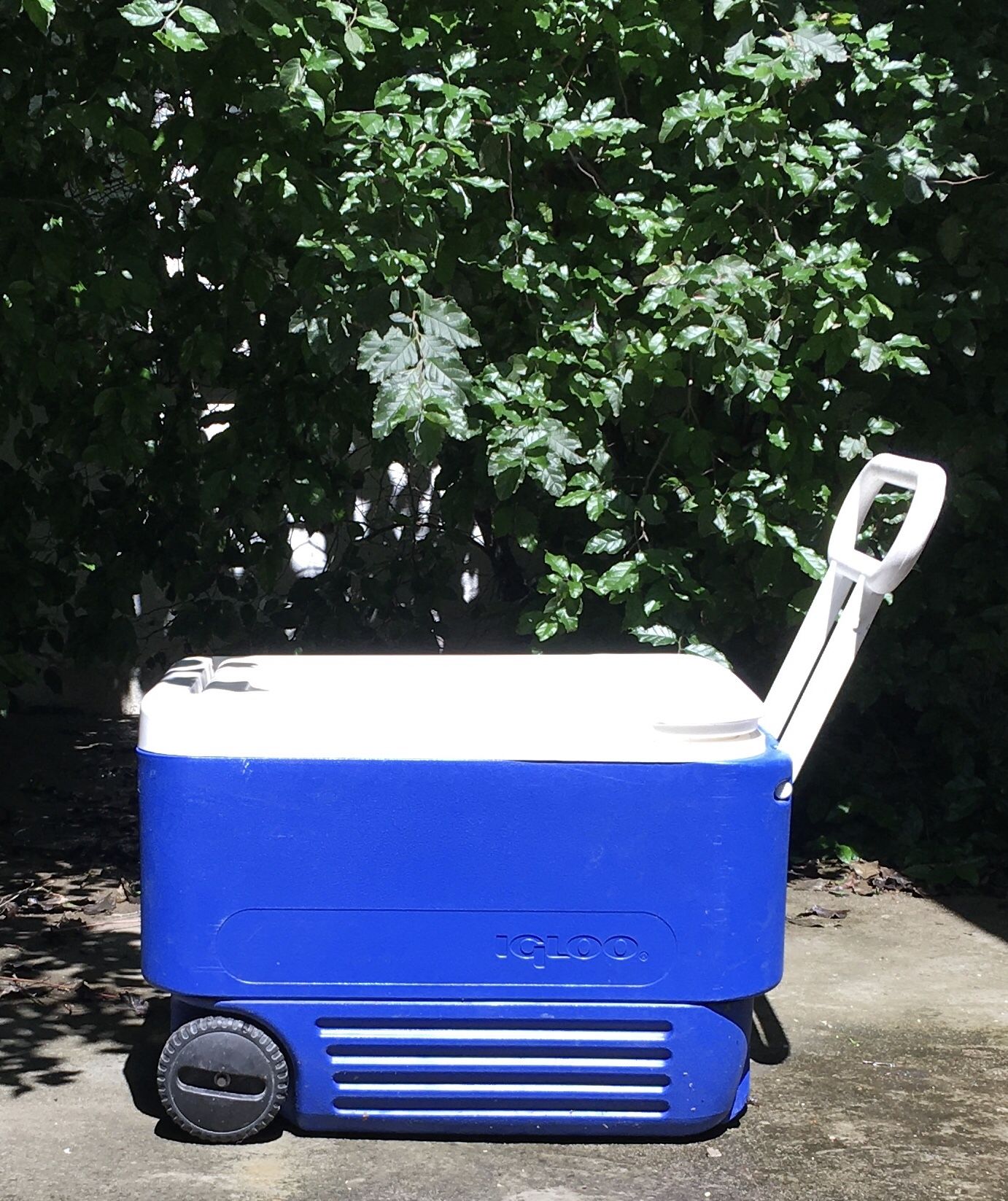 Igloo Cooler w/Wheels