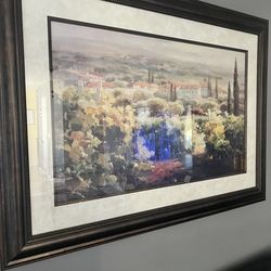 Framed paintings