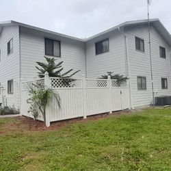 Professional Painting 