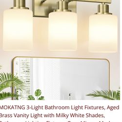 Bathroom light fixture