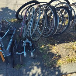 Free Bike Wheels on the curb