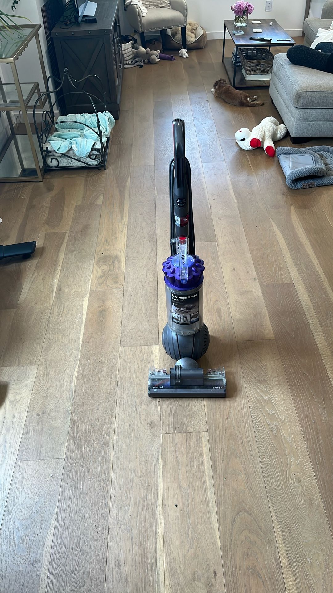 Dyson Ball Animal + Upright Vacuum Cleaner - Powerful Suction for Pet Hair