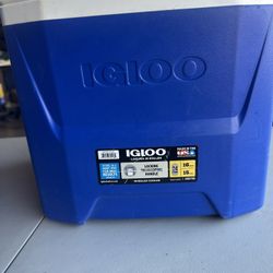 Igloo Cooler 