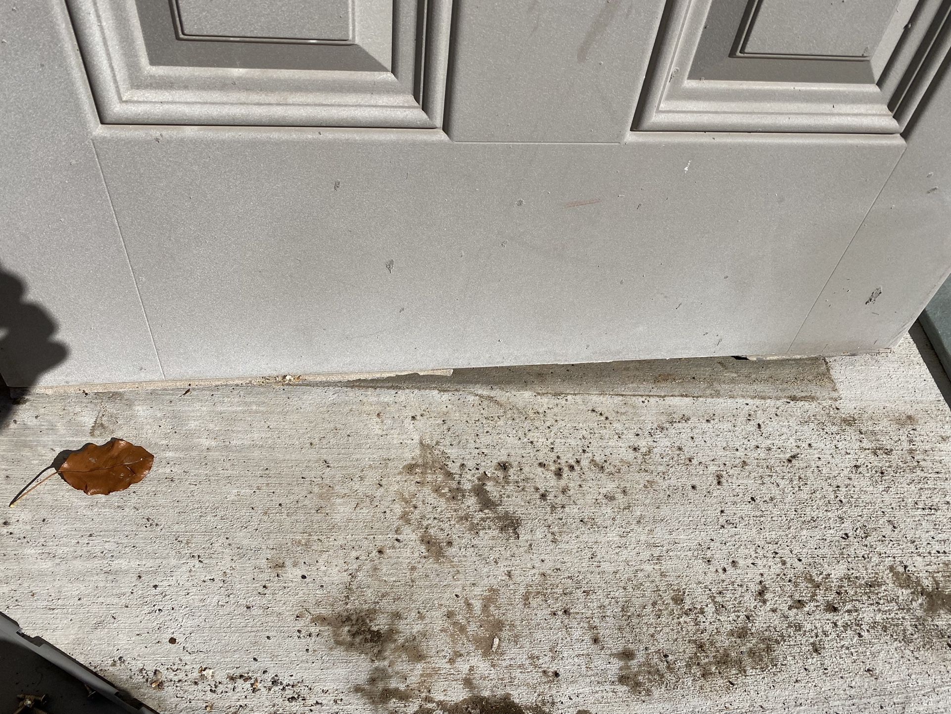 Exterior Doors