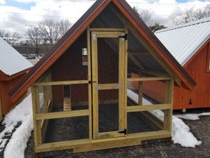 Chickens For Sale Classifieds In Niles Illinois Clazorg