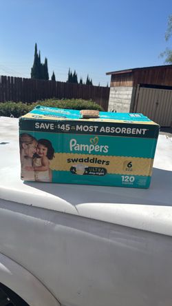 Pampered diapers