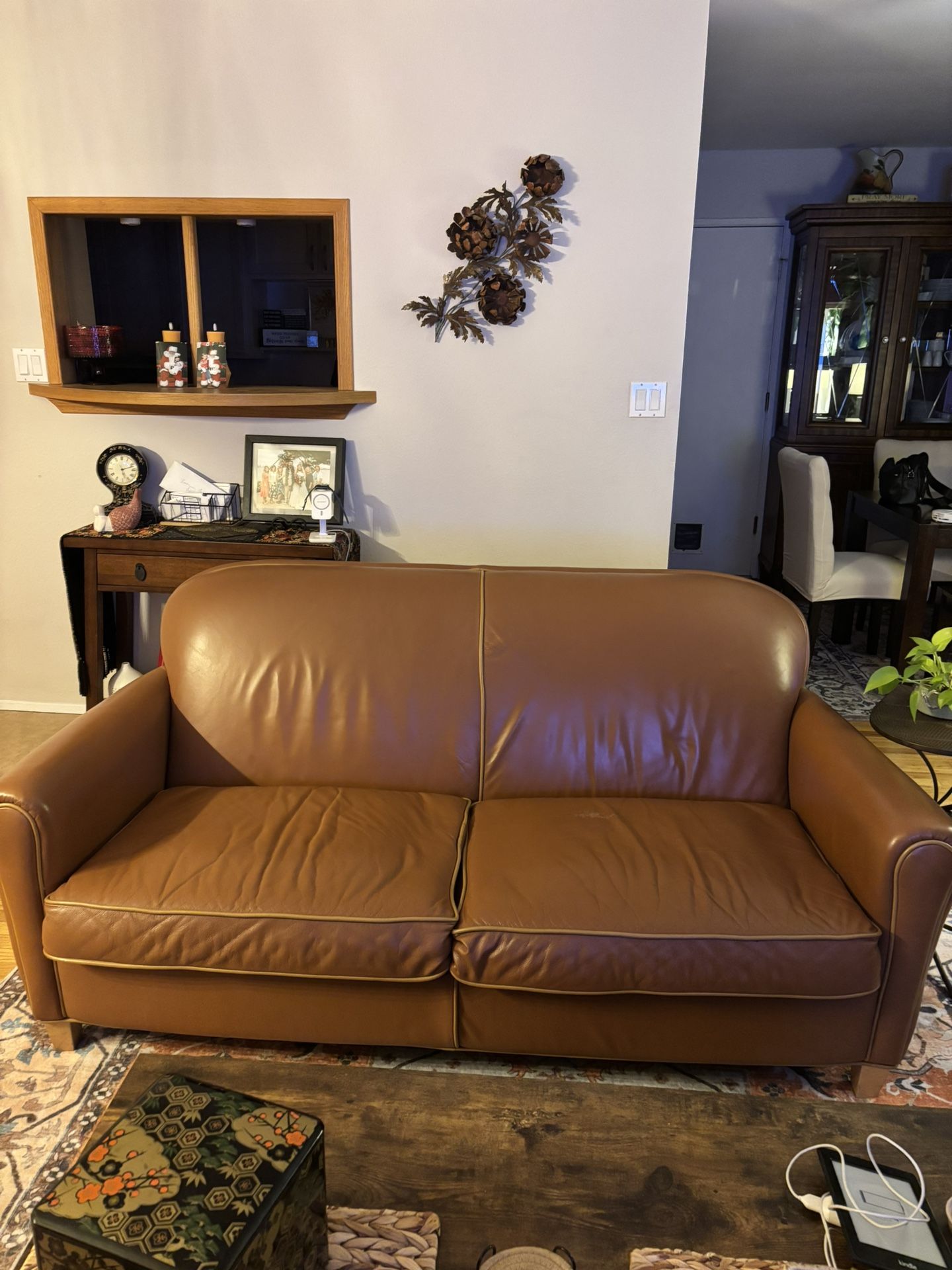 Arizona Leather Couch 