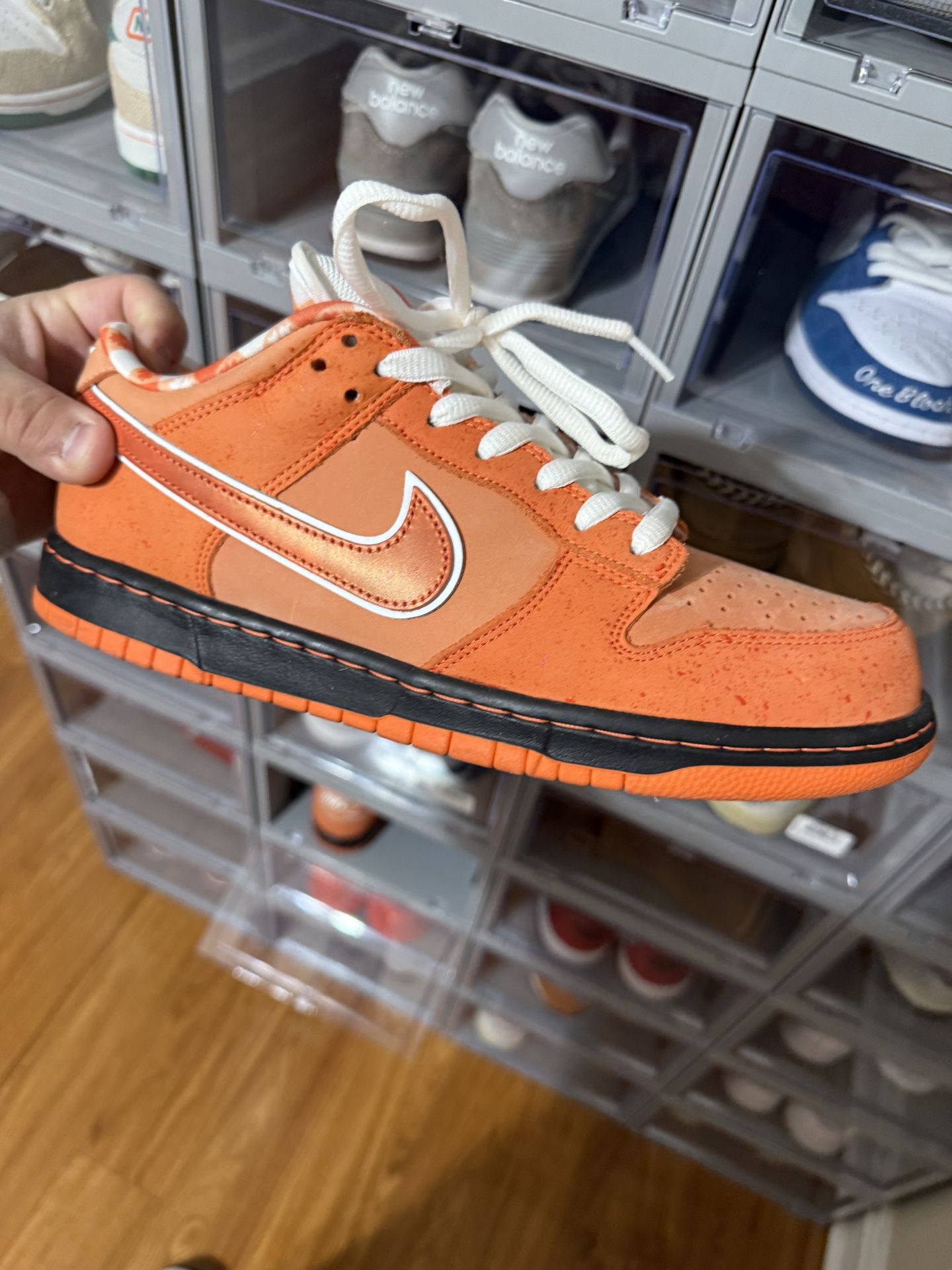 Nike Dunk Low Sb “ Orange Lobster “ Size 10.5 USED