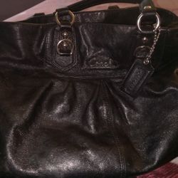 Coach Ashley Leather Bag