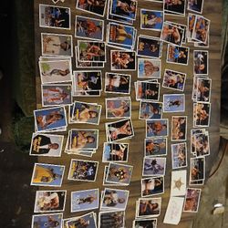 1989 And 1990 WWF TRANDING CARDS