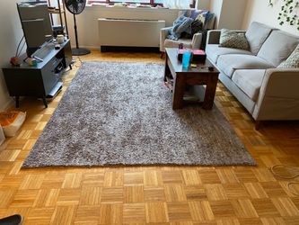 Gray Shag Rug (FREE)