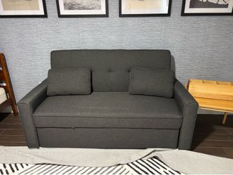 Pull Out Couch