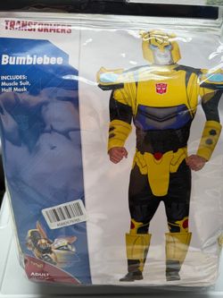 Transformers costumes ($30 each)