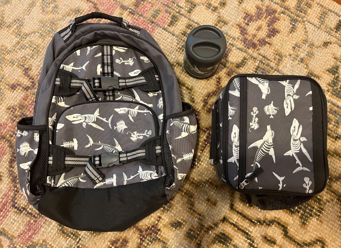 Pottery barn Backpack And Accessories