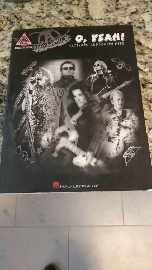 Arosmith guitar music book