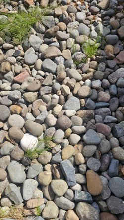 Free Landscaping Rocks
