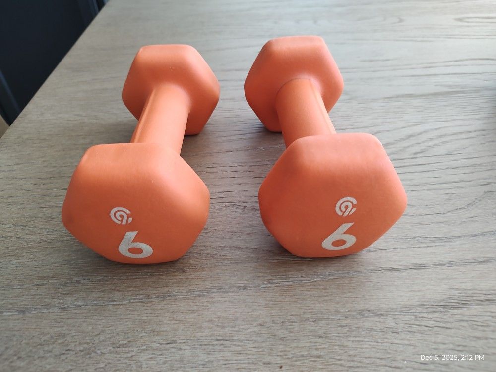 Hand Weights  for Women  6 lb 