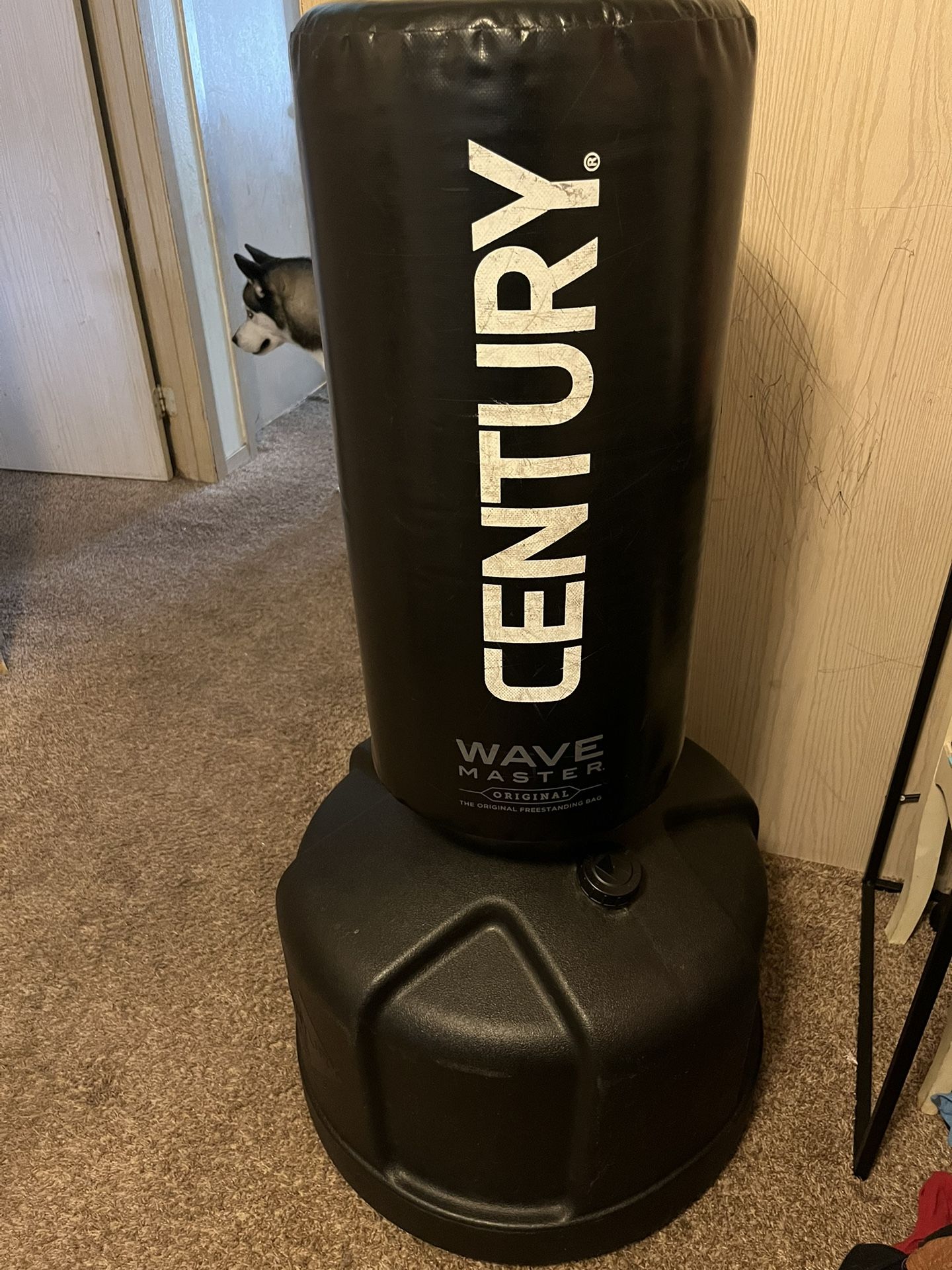Century Punching Bag