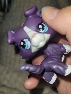 Lps Purple Collie 