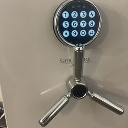 Sanctuary Reserve 1.69 cu. ft. Home & Office Safe with Electronic Lock, Silver