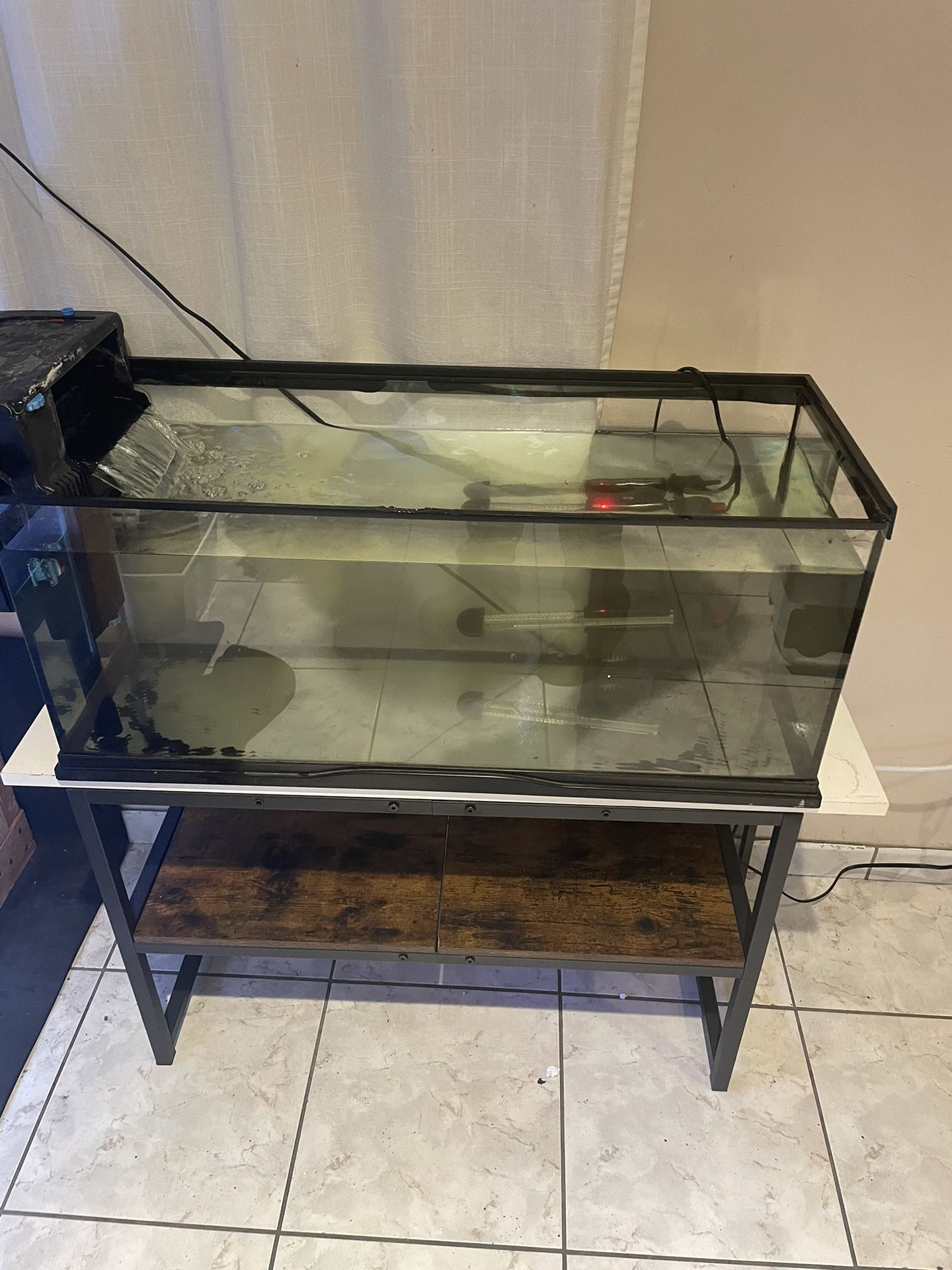 20 Gallon Tank
