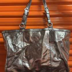 Vintage Coach Purse - Metallic Gray - Y2K - 2000s 