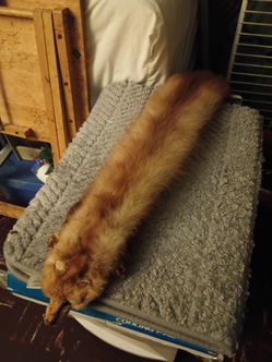 Vintage mink