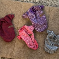 Dog Beds And Clothes