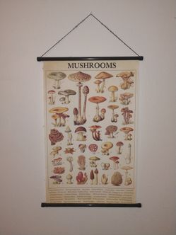 Mushroom wall decor