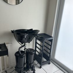 Portable Hair Washer 