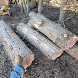 Cedar Wood