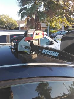 Echo chainsaw