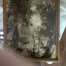 Black And White Print If Forest