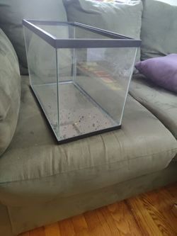 Glass aquarium