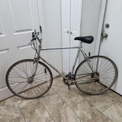 Vintage Schwinn
