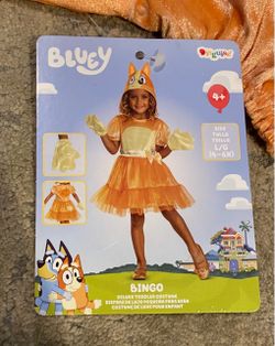 Bingo girls costume