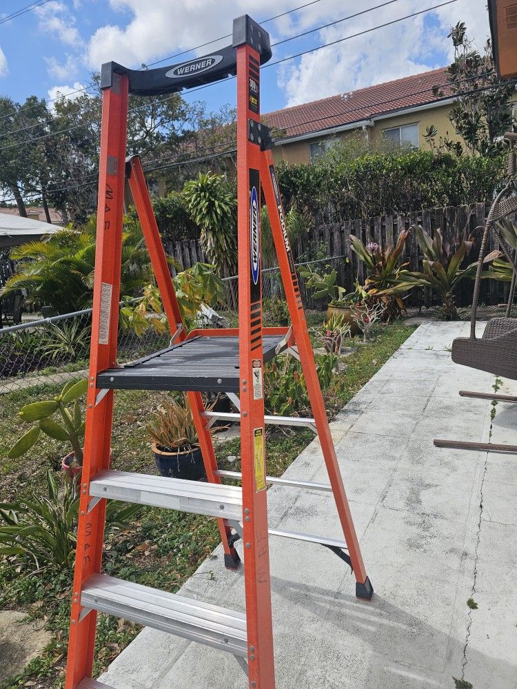 Platform ladder