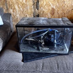 Aquariums (2) W/ Accessories 