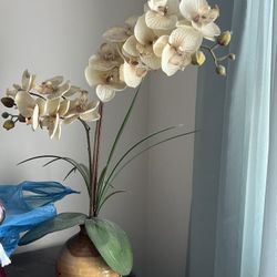vase