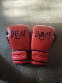 16oz Everlast PowerLock2 Training Gloves