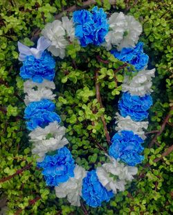 Graduation Fresh Floral Lei Customizable