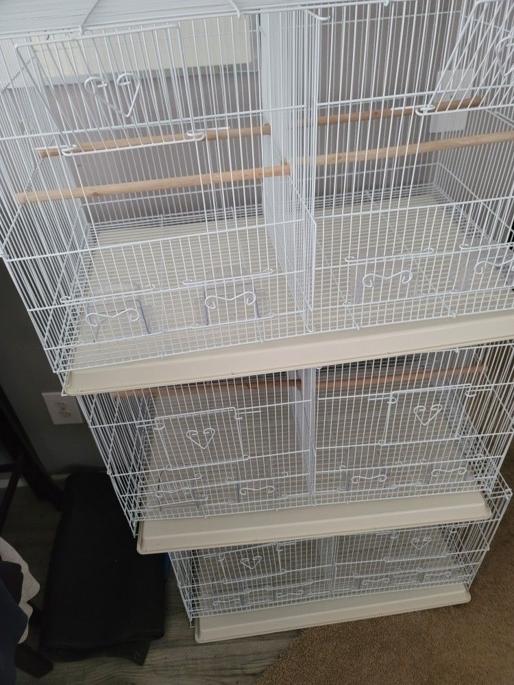 Bird, Pet Cages