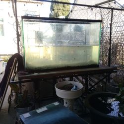 80 Gallon Double Thick Glass Tank