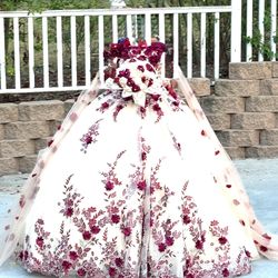 Quinceanera dress