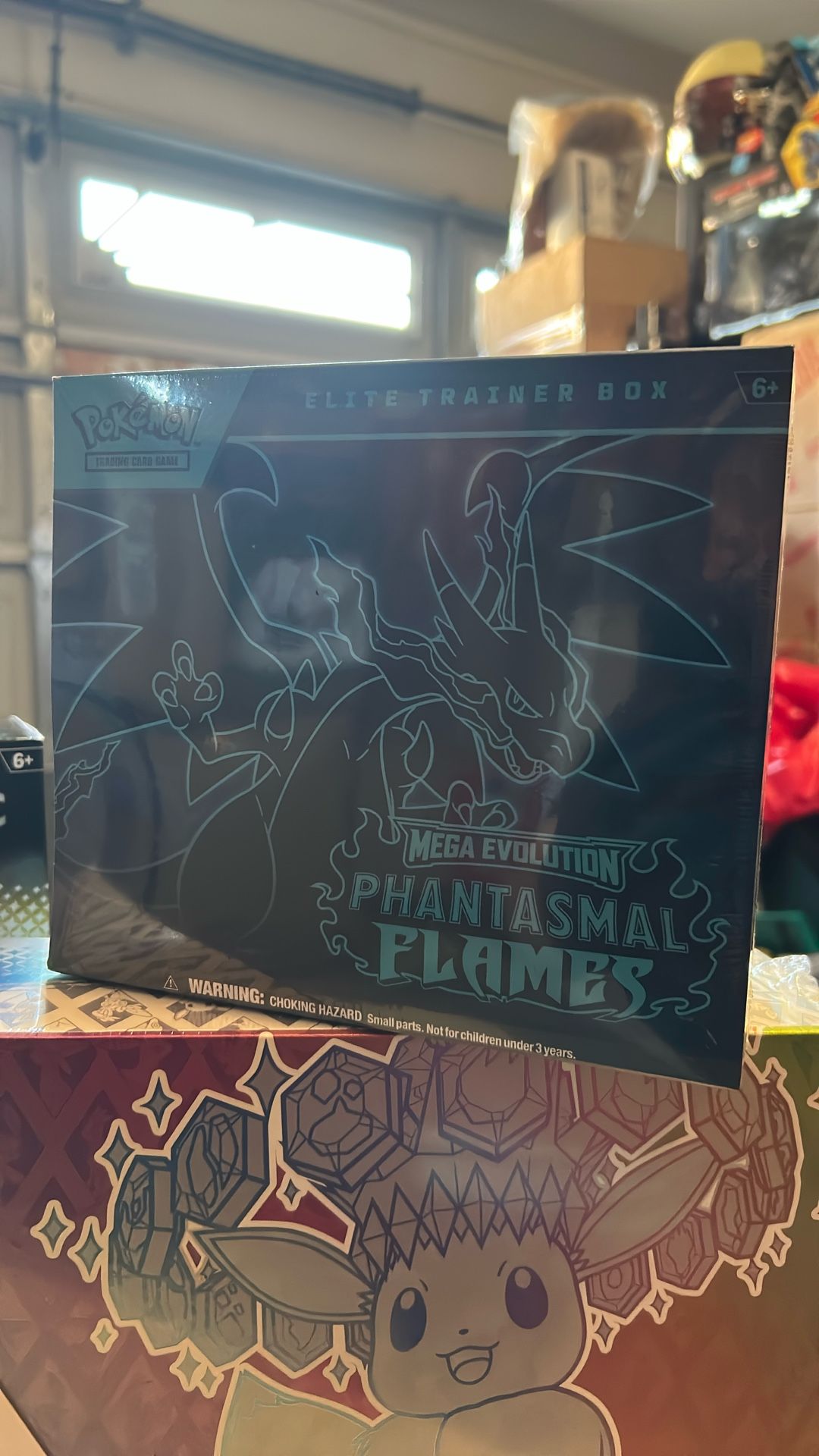 Pokemon Bundle of Joy