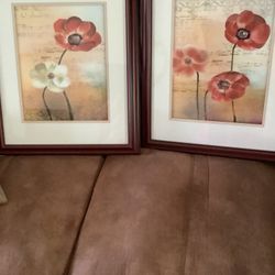 2 Poppy Pictures 