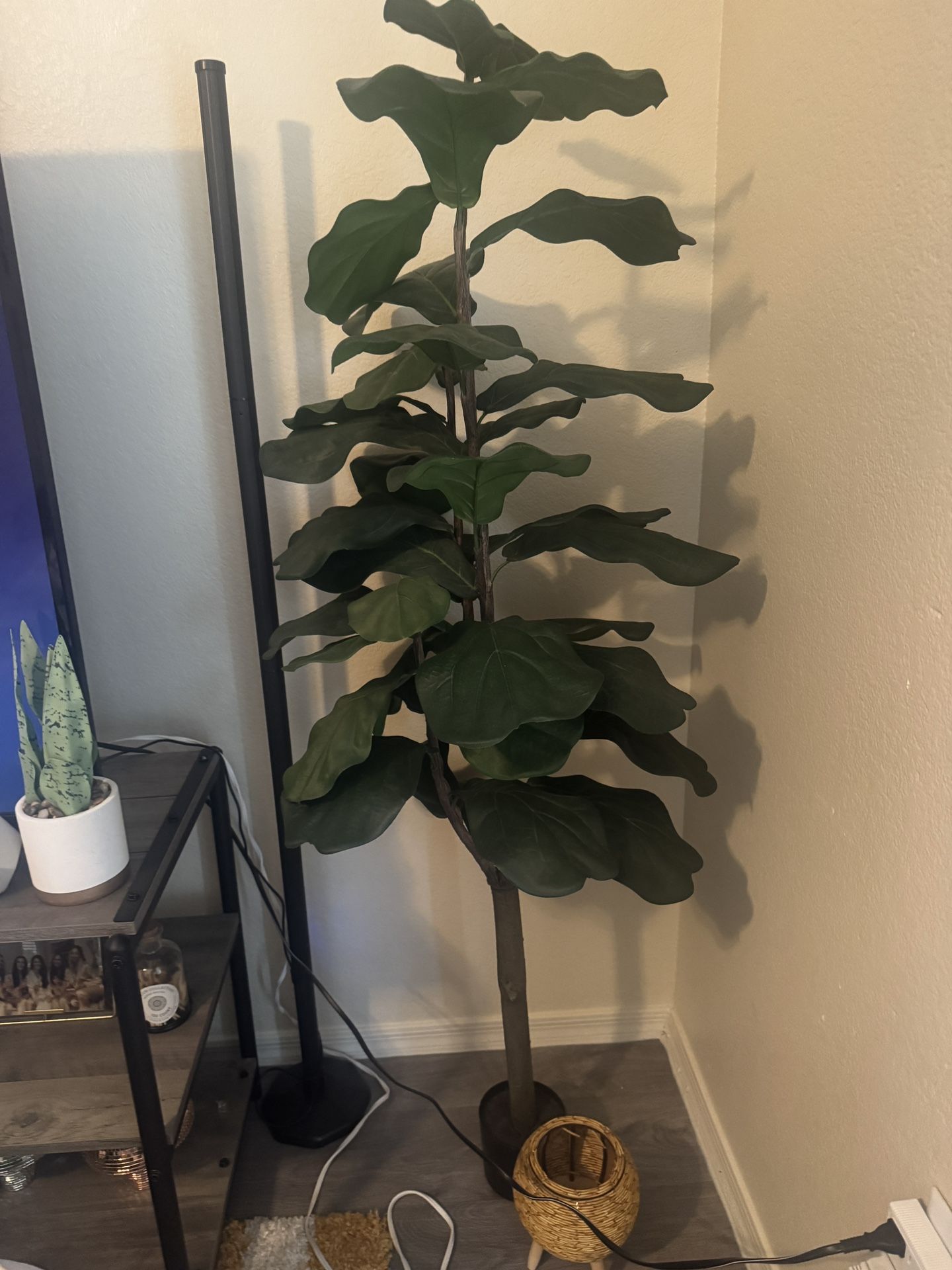 Fake Corner Plant 