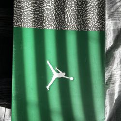 Jordan 3 Pine Green